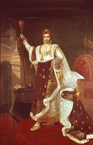 Robert Lefevre Portrait of Napoleon I in Coronation Robes